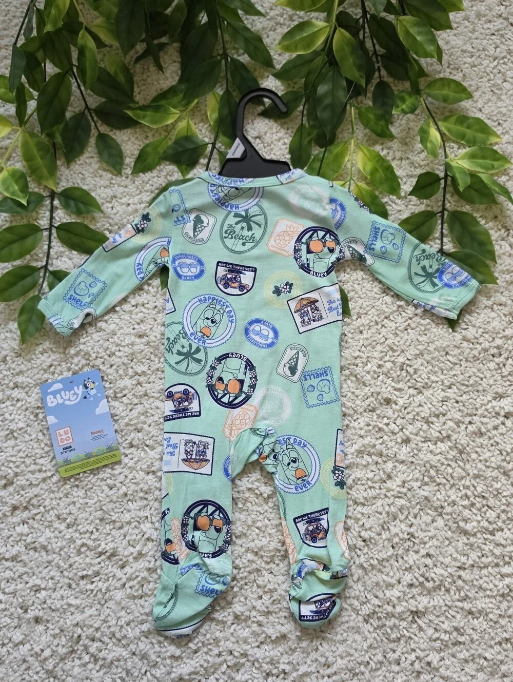 Bluey brand new